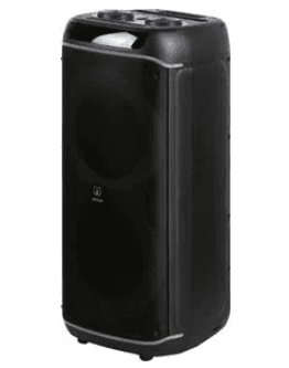 Портативная колонка URZUS UR-541119 черный, 100 Вт, Bluetooth 5.3, TWS, AUX, USB Type-A , microSD, IPX4, 2 проводных микрофона в комплекте,  до 9 ч, 8000 мА·ч