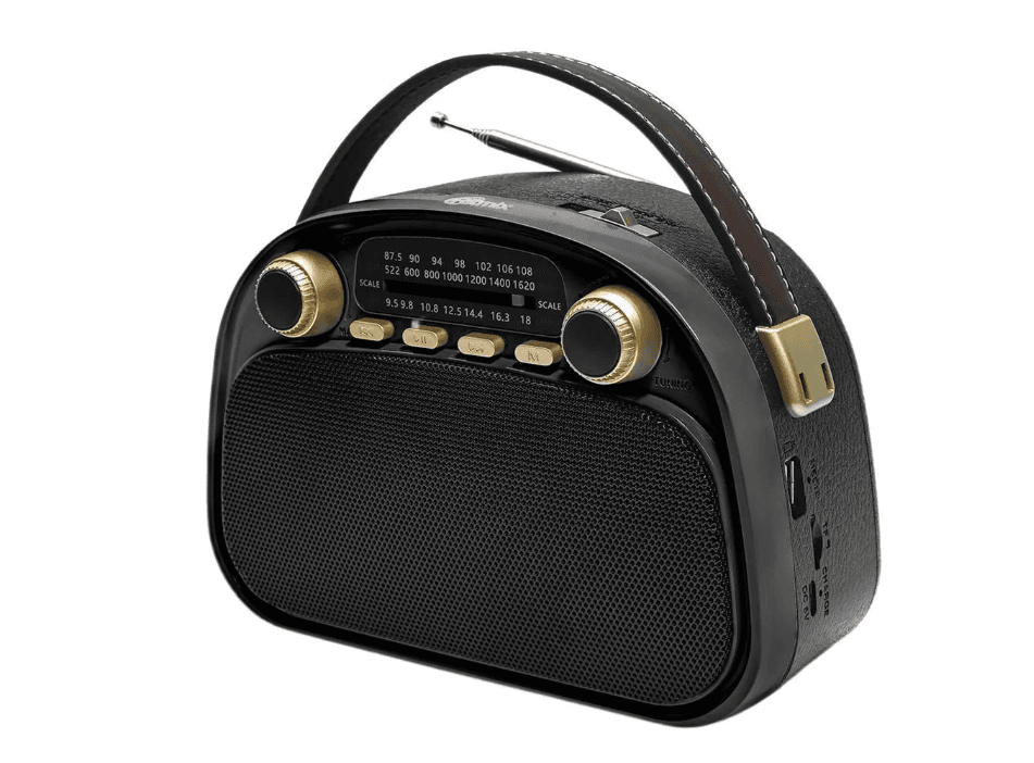 Радиоприемник портативный Ritmix RPR-040, Type-C, USB, microSD, AM, FM, SW, питание от аккумулятора / сети